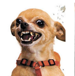 Beaverton Toastmasters